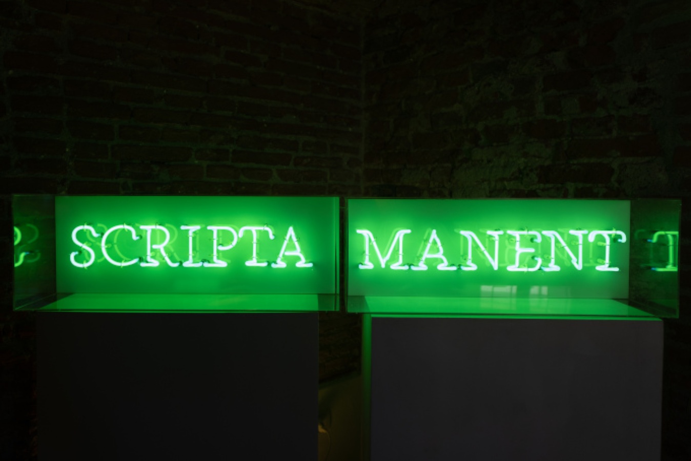 Manuela Bedeschi Illuminate riflessioni